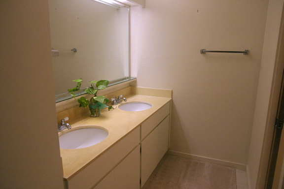 Two sinks!