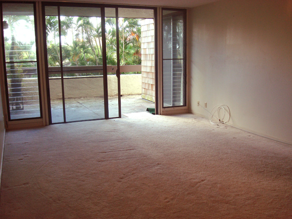View to the Lanai